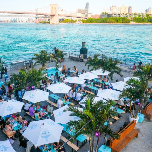 Best Things To Do in NYC
