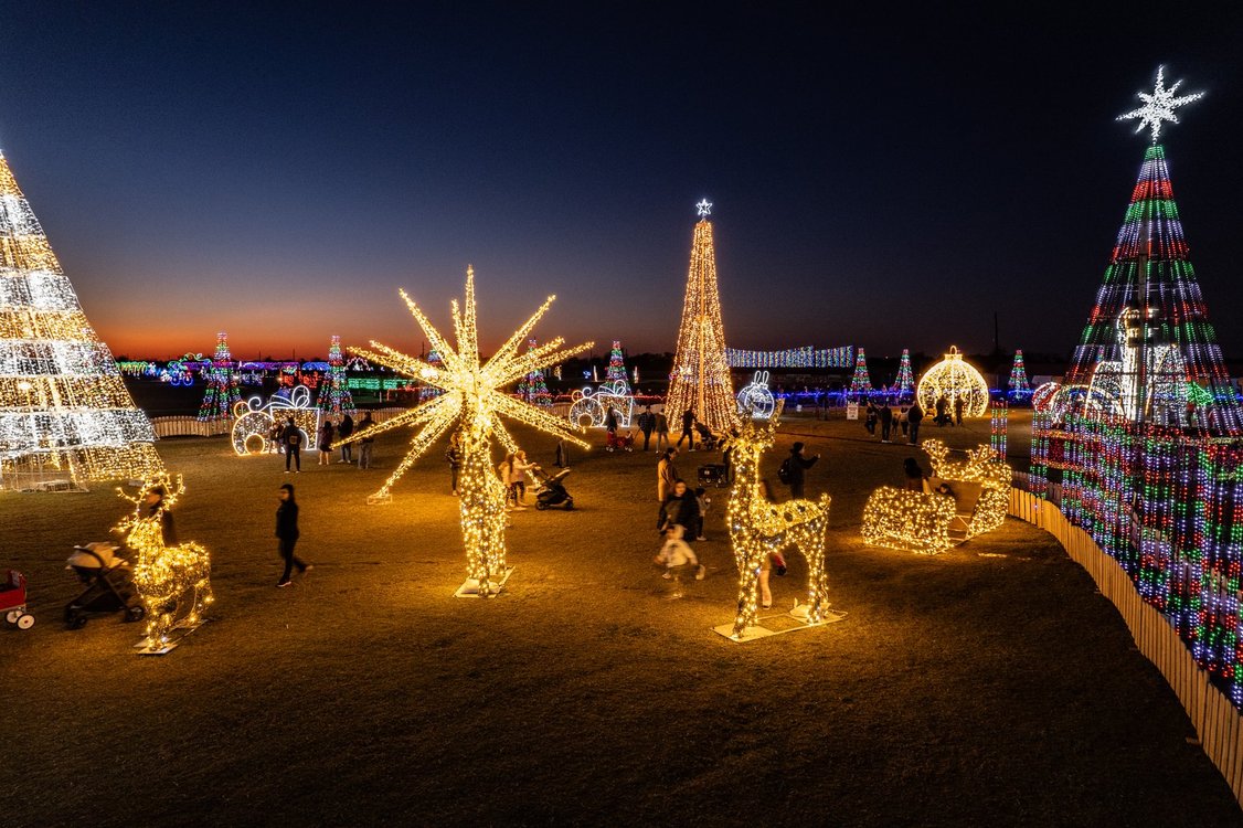 A BERRY Merry Christmas!