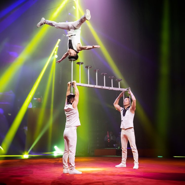 Circus Vazquez - NYC