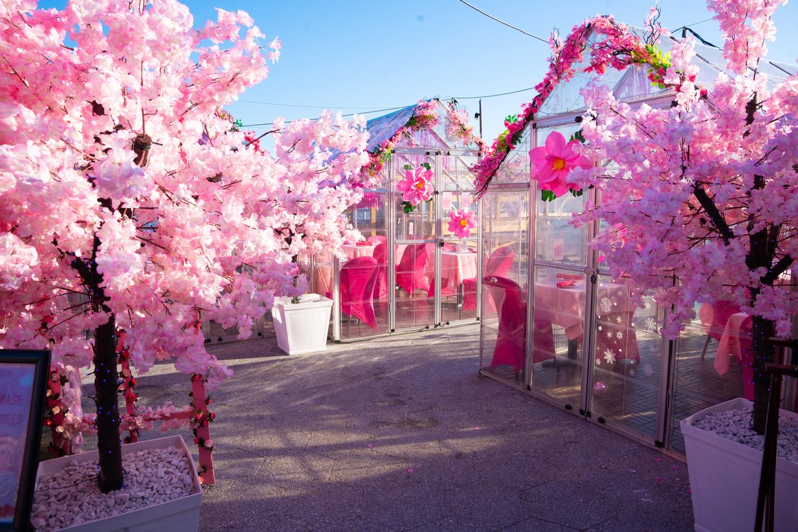 Cherry Blossom Festival at Pink Pier NYC: Spring Pop-Up Experience