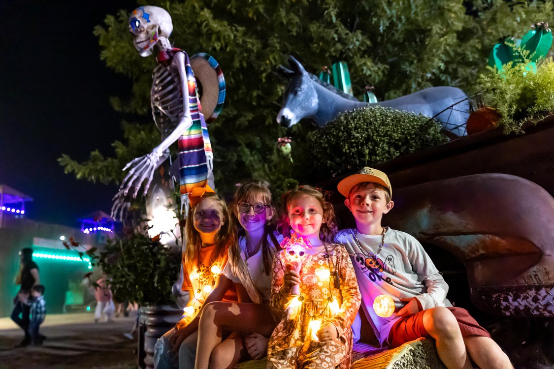 Yesterland Farm Fall Festival: Tickets from $21.95 - Buy Now
